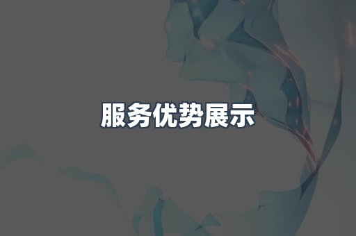 服务优势展示